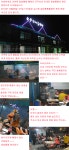 가자 속리산으로 일방통행 고고~~ : 리니지-NCSOFT