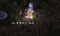보스혈?? : 리니지-NCSOFT