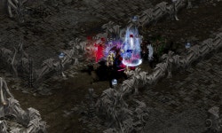 폭군님외기타등등... : 리니지-NCSOFT