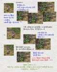 설날아침 기란여관앞에서 생긴일~! : 리니지-NCSOFT