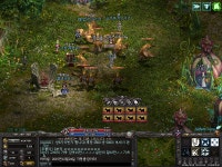[수집가 소환] 리니지 초창기 부터 모은 축아이템 : 리니지-NCSOFT