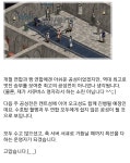 미소피아 글에서 발췌한 수호탑 측근 증거 : 리니지-NC