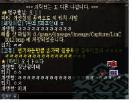 리치는 장난감 입니다 ㅋㅋㅋㅋㅋㅋㅋ - 파아그리오 : 리니지 - NCSOFT