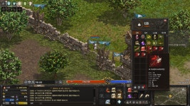 기사단 주화로 거의 평생템 완성 : 리니지-NCSOFT