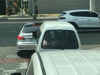 7다마 팔아여 : 리니지M-NCSOFT