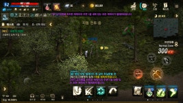 [300일인증]3000일 가즈아! : 리니지M-NC