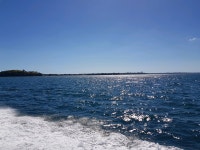 눈정화하세용 : 리니지M-NCSOFT