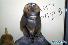 오빠혈 입장 표명 : 리니지M-NCSOFT