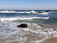 ㅎㅎㅋ 동해바다 다녀옴ㅋ : 리니지M-NCSOFT