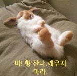 ■■향숙이예뻤다■■ 혈 집 없는 향숙이 오세요. - 이실로테06 : 리니지M – NCSOFT 