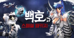 백호 스페셜 패키지 : 블레이드 & 소울-NCSOFT 백호 스페셜 패키지