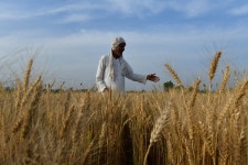 WTO Report Supports Narendra Modi’s Farm Laws
