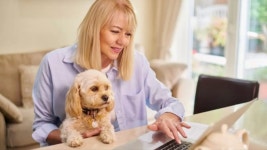 Insurance for pets: What US pet owners need to know