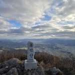 서울신문 검색 서울신문