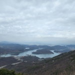 서울신문 검색 서울신문