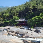 서울신문 검색 서울신문