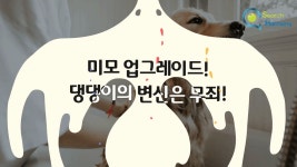 [㈜러브펫 코리아] | 타임스퀘어 러브펫동물병원 & 멀티펫샵에서 간호사를 모십니다 - 알바몬