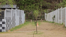 [라드독] | 라드독 애견카페 직원 모집 공고 - 알바몬