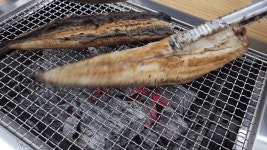 [화로통통민물장어] | 화로통통민물장어 금토일 알바모집 - 알바몬