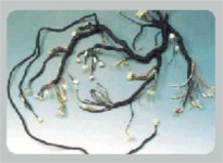 천일테크윈㈜ 2025년 기업정보 - 직원수, 근무환경, 복리후생 등 | 잡코리아 천일테크윈㈜ 기업정보 - 직원수, 근무환경, 복리후생 등 | 잡코리아