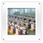 성진장갑 2025년 기업정보 - 직원수, 근무환경, 복리후생 등 | 잡코리아 성진장갑 기업정보 - 직원수, 근무환경, 복리후생 등 | 잡코리아