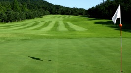 ㈜제일스포츠센타 채용 - 골프장 카트 담당자 | 잡코리아