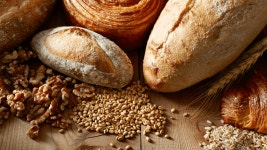 주식회사 26도라인 채용 - 그래픽 디자이너 경력직 [콤부차 브랜드] | 잡코리아