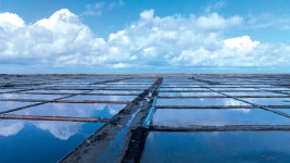 씨제이피드앤케어㈜ 채용 - [CJ Feed&Care] 양돈사양 담당자 | 잡코리아