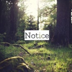 breakinholiday / Notice - OTOTOY Notice / breakinholiday on OTOTOY Music Store