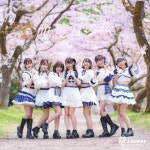 THE ENCORE / 四度目の桜 - OTOTOY 四度目の桜 / THE ENCORE on OTOTOY Music Store