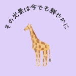 Mai / その光景は今でも鮮やかに - OTOTOY その光景は今でも鮮やかに / Mai on OTOTOY Music Store