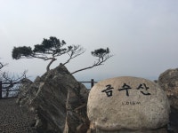 거친듯 포근한 산, 제천 금수산 봄마중 | The pen 거친듯 포근한 산, 제천 금수산 봄마중