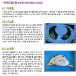 여자라면 고민해봤을 산부인과 질환!