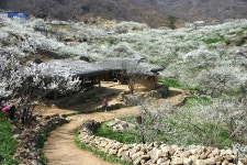 추억이 머무는 시간의 길목