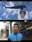 의대도전 MC몽 내 아이큐가 80? 돌고래 아이큐..