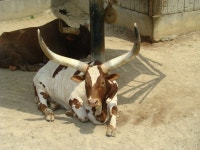 정안이와 행복쌓기 48 - 어린이대공원