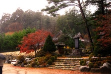 [강원도 평창여행] 오대산자락, 천년의 향기가 살아숨쉬는 곳...월정사