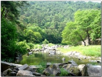 [봉화]닭실 마을의 아름다운 정자... 청암정과 석천정사를 만나다~