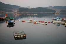 첫번째 통영&비진도 여행기 - 남해바다 밤 소주, 안주는 충무김밥