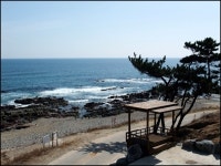 영덕대게여행1편 - 영덕 대게, 풍력발전단지, 고래불해수욕장, 영덕펜션