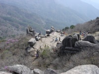 비슬산 대견사지터