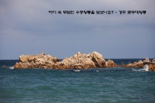 바다 속 무덤인 수중왕릉을 보셨나요?-경주 문무대왕릉