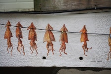 벽화 하나로 기분 좋아지는 묵호 등대오름길