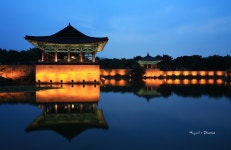 그 어떤 도시의 야경보다 찬란했던 경주 안압지 야경