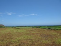 제주, ..우도에서