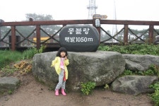 가을에 즐기는 휘닉스 파크, 1050m 몽블랑에서 만나는 넓은 초원의 양떼 목장