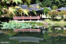 불영사..왜? 가보라고했는지 알겠다..해안일주여행메모 # 54일차