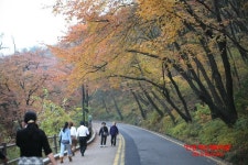 이태원맛집/남산맛집 - 민들레순대국 방문4