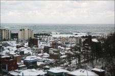 2011년 첫날 겨울여행 더클래스300/속초맛집 장사항 한산횟집/속초맛집 만석닭강정