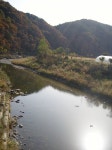 [강원도 화천] 토고미마을(파프리카), 원앙마을(친환경 한우 농장견학)